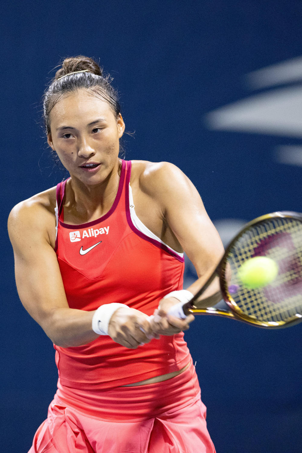 一项临时指 一项临时指